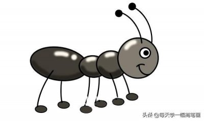 ​每天学一幅简笔画--蚂蚁简笔画步骤画法图片
