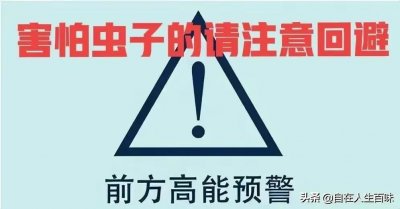 ​那些年，在农村夏天常见的虫子，你认识几个？（中）