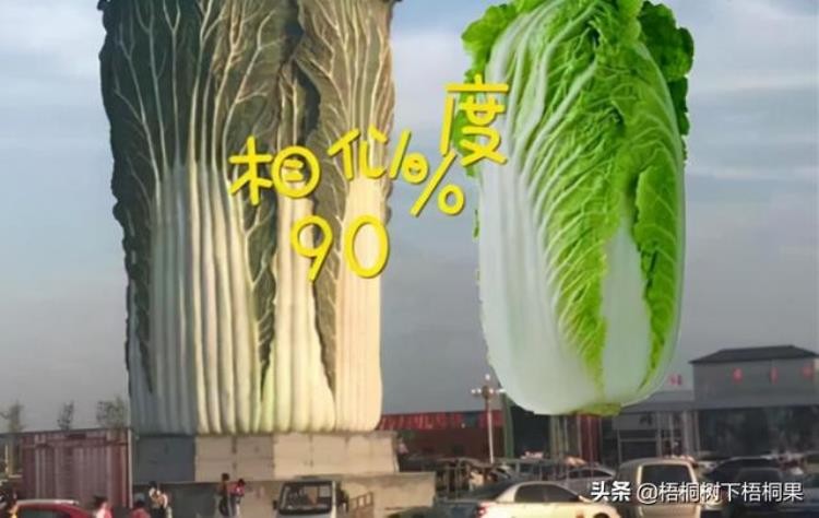 盘点我国的那些奇葩景点你踩雷了吗作文,中国免费奇葩景点