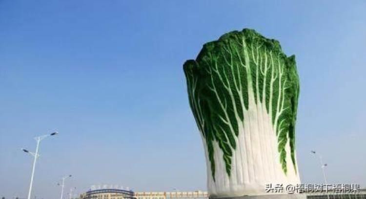 盘点我国的那些奇葩景点你踩雷了吗作文,中国免费奇葩景点