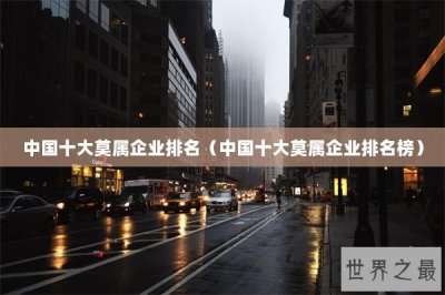 ​中国十大莫属企业排名（中国十大莫属企业排名榜）
