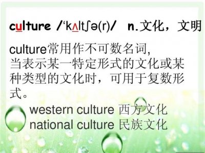 ​culture可数吗（culture可不可数）