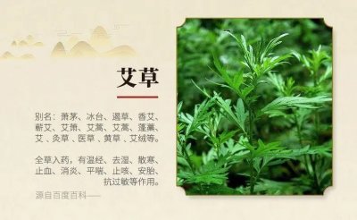 ​熏艾叶有什么功效与作用？熏艾叶有哪些功效？