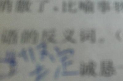 ​姿态的近义词反义词