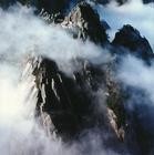 黄山的四绝是什么（安徽5A级景区黄山）(7)