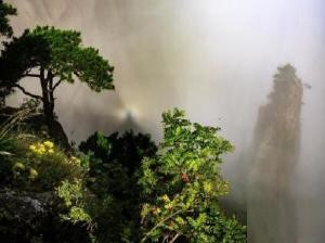 黄山的四绝是什么（安徽5A级景区黄山）(10)