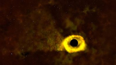 ​万年一遇！NASA的TESS太空望远镜观测到恒星被黑洞吞噬的过程