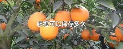 ​脐橙可以保存多久