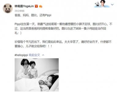 ​林宥嘉老婆（当导师赚奶粉钱）