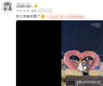 ​网红张大奕被求婚成功！男方是房地产富二代，知名总裁曾为她辞职