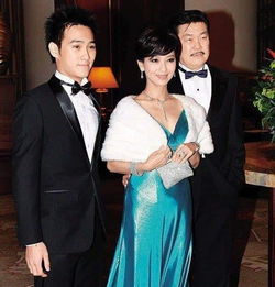 赵雅芝儿子黄恺杰个人资料及近况和图片和出演的影视剧-图1