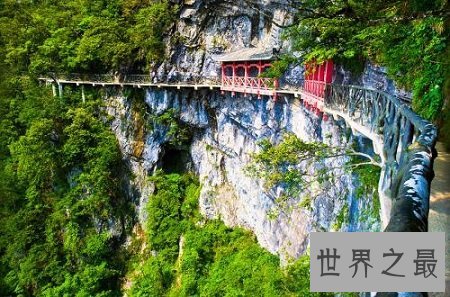 张家界旅游注意事项，不看后悔的经验之谈！