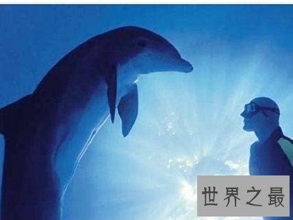 世界纪录水下憋气保持者，就像是可以在水下呼吸一样不可思议。