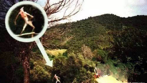 世界上竟有这些生物 全球10大恐怖存在