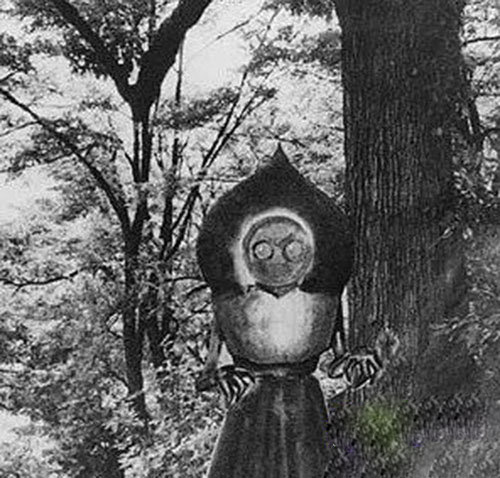 世界上竟有这些生物 全球10大恐怖存在