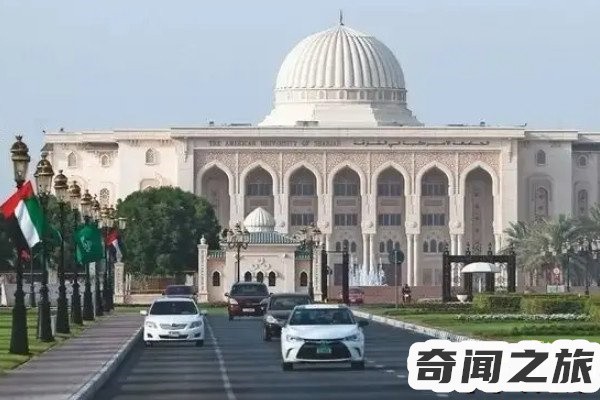 世界第一高楼是迪拜的哈利法塔（高度为828米总楼层数162层）(10)_