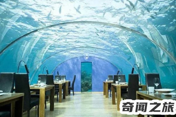 世界第一高楼是迪拜的哈利法塔（高度为828米总楼层数162层）(7)_