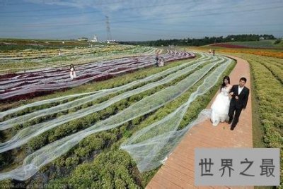 ​世界上最长的婚纱，第一是中国成都的4100米婚纱！