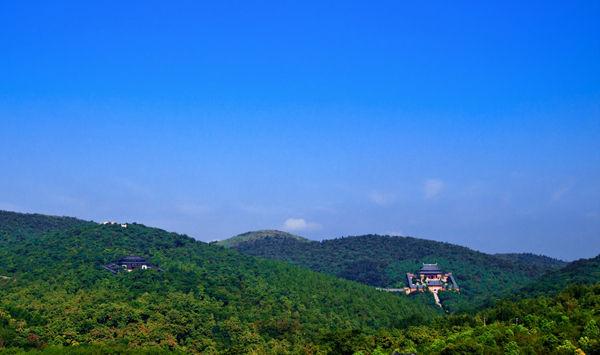 三、八公山森林生态风景区