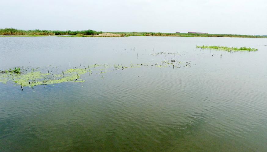 四、蚌埠中华湿地旅游度假区