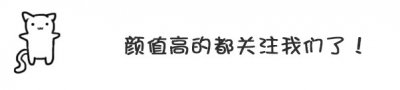 ​龙猫：南美洲宝藏，外貌迷人，性格温驯！