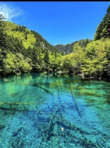 ​四川最值得去的十个地方推荐（寻找童话里的春天）