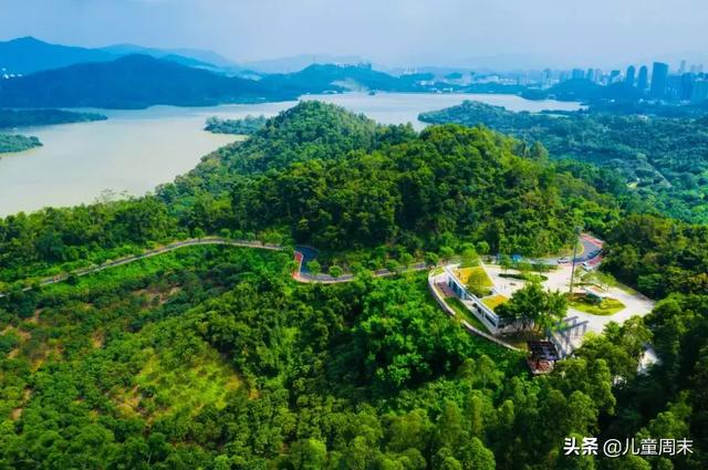 深圳最美山湖绿道（新开的淘金山绿道）(3)