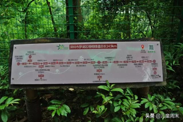 深圳最美山湖绿道（新开的淘金山绿道）(28)