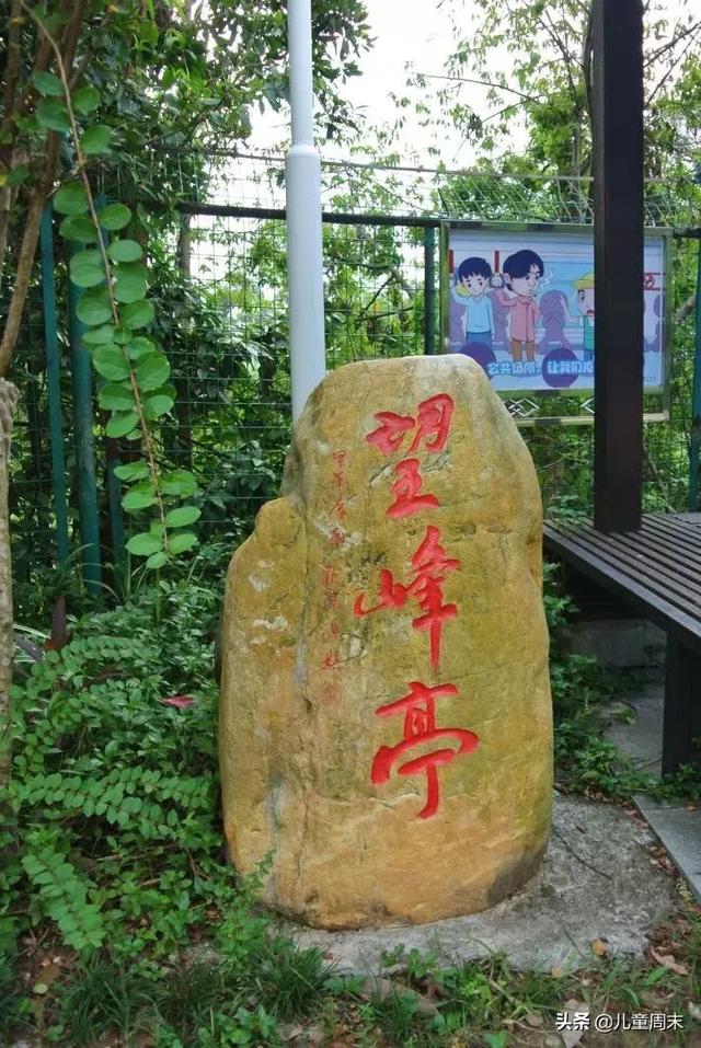 深圳最美山湖绿道（新开的淘金山绿道）(29)