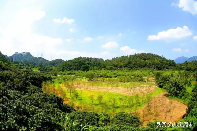 深圳最美山湖绿道（新开的淘金山绿道）(22)
