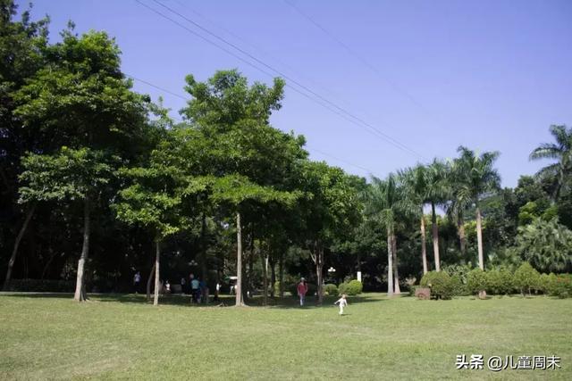 深圳最美山湖绿道（新开的淘金山绿道）(31)