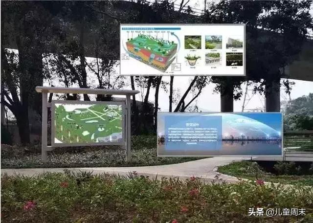 深圳最美山湖绿道（新开的淘金山绿道）(18)