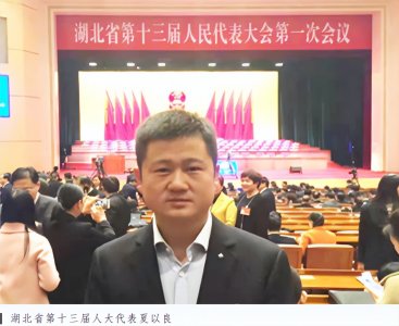 ​逐梦乡村振兴的“新农人”——记湖北省第十三届人大代表、湖北省良绿蔬菜种植
