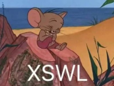 ​XS是什么意思网络用语（聊天xs是什么意思网络用词）