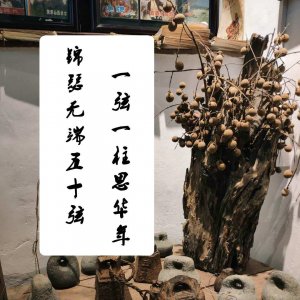 ​一弦一柱思华年，古筝这么多根弦你都认清了吗？