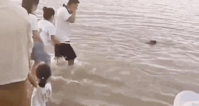 ​跳入江中救起父女两人的小伙，找到了！