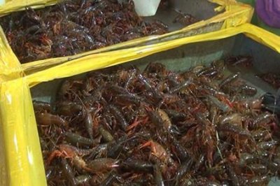 ​油焖小龙虾怎么做？