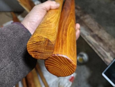 ​柘树，又称帝王木，古代皇帝专用木材！