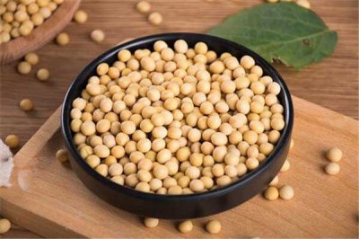 ​豆乳是什么做的 经常喝豆乳有哪些好处（营养价值高）