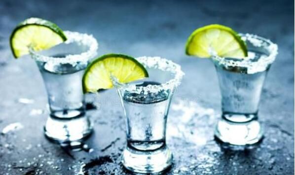 世界上最贵的龙舌兰酒（龙舌兰Tequila Ley925价值350万美元）(2)_