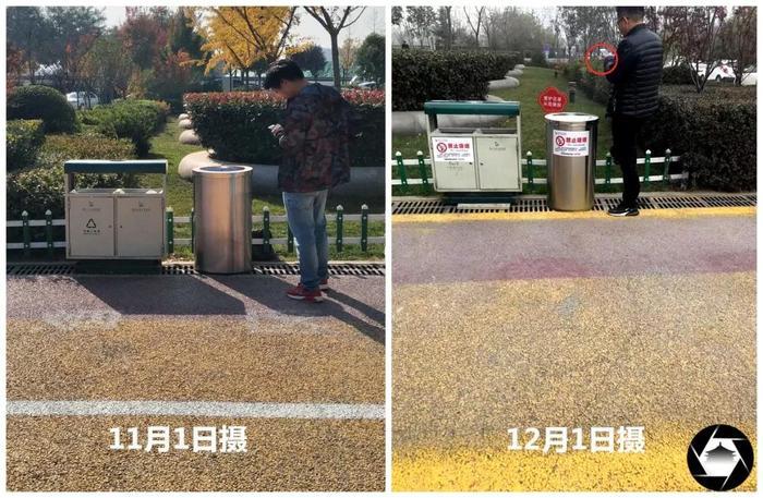 从效果看 “西安史上最严禁烟”是个标题党