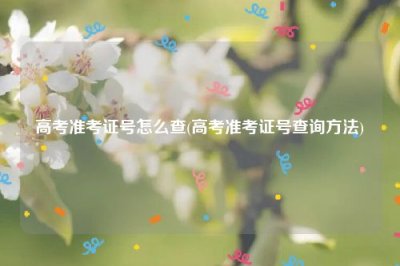 ​高考准考证号怎么查(高考准考证号查询方法)