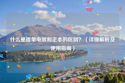​什么是提单电放和正本的区别？（详细解析及使用指南）