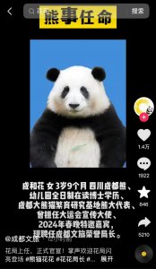 ​大熊猫“和花”成文旅局荣誉局长？网友：祝贺“花局”！