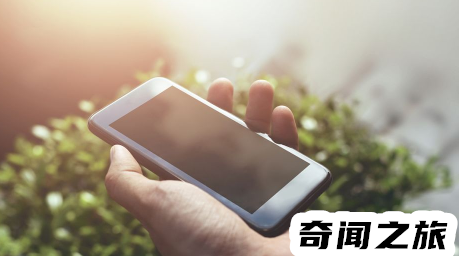 老六是什么意思（老六是什么梗）(3)_
