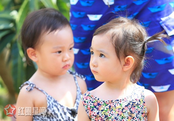 贾乃亮打李小璐图片怎么了 贾乃亮李小璐感情不和真的吗