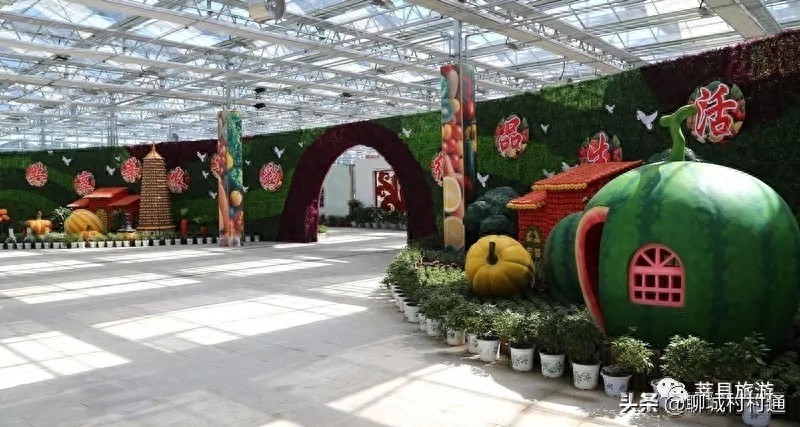 图集！到莘县必看的旅游景点，你都去过了吗？