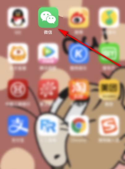 微信 拍了拍你，苹果12微信拍摄怎么拍不了了？图4