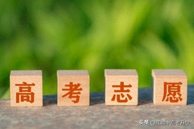 ​最全！39所985高校在鄂近三年招生分数线及排名