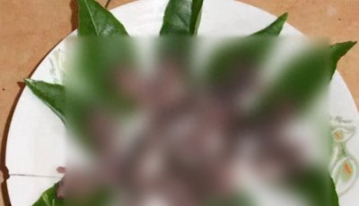 ​十大禁菜之一的“三吱儿”，你敢吃吗？